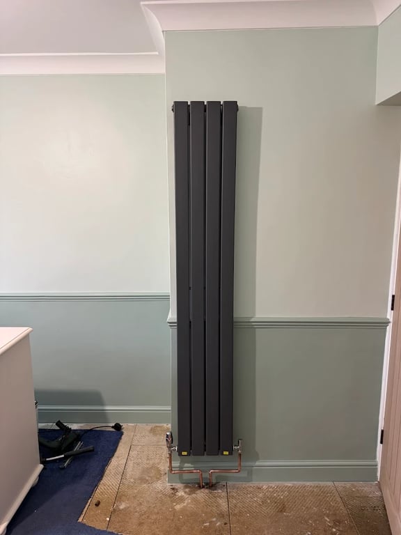Designer vertical anthracite radiator on sage wall